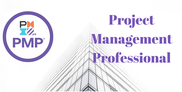 project management professional meaning