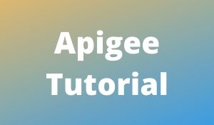 Apigee Tutorial