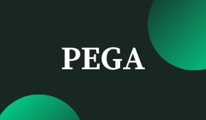 PEGA Training