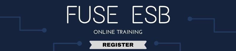 Fuse ESB Course