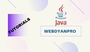 web dynpro java basics