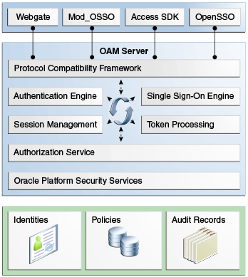 Oracle AM Architecture