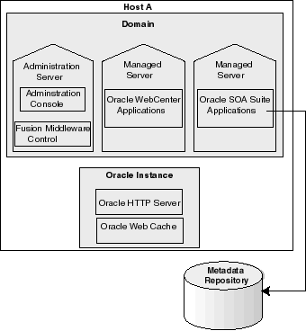 oracle fusion middleware environment