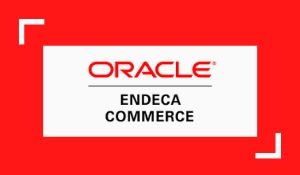 oracle endeca commerce