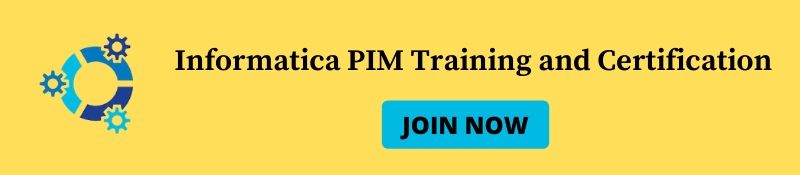 Informatica PIM Course