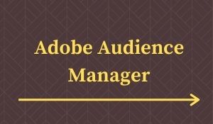 Adobe Audience Manager