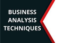 BUSINESS ANALYSIS TECHNIQUES