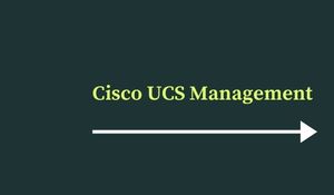 Cisco UCS Management