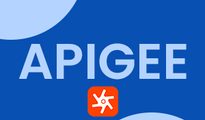 Apigee Self Paced Course