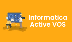 Informatica ActiveVOS Training