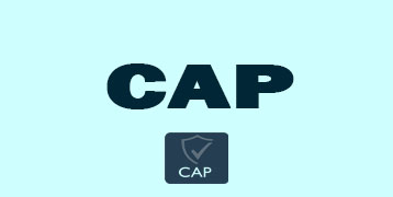 Certified Authorization Professional (CAP) Training