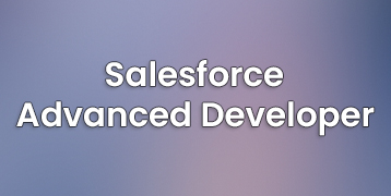 Salesforce Advanced Developer Training