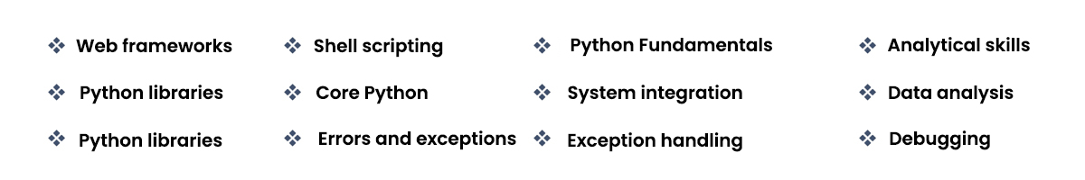 Python Developer Masters Program skills covered