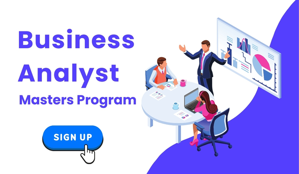 Business Analyst Masters Program