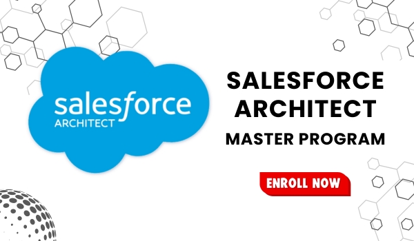 Masters in Salesforce Architect Course